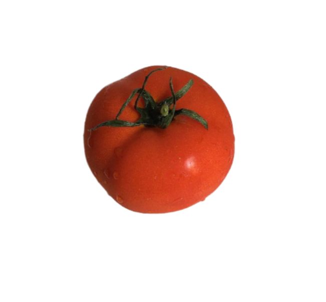 에디터