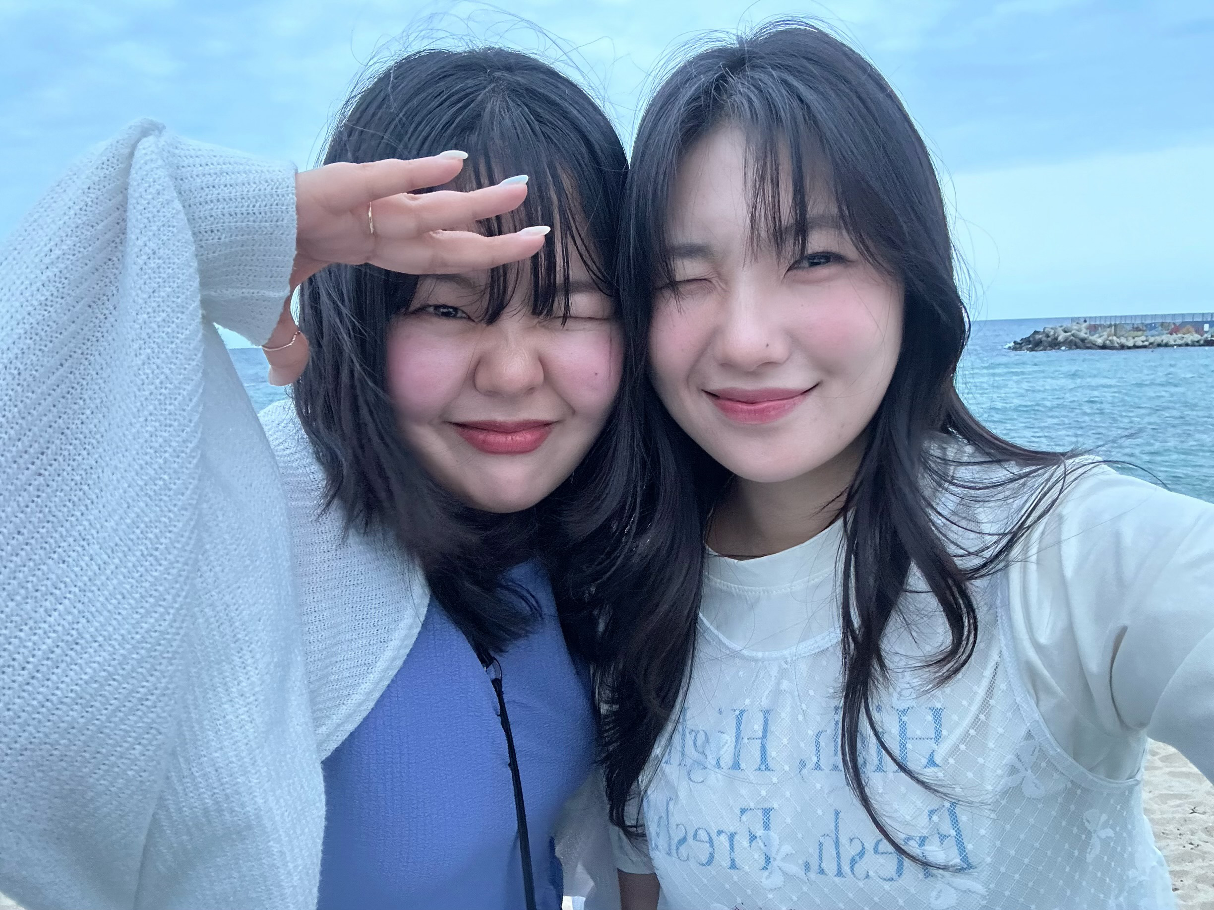 에디터
