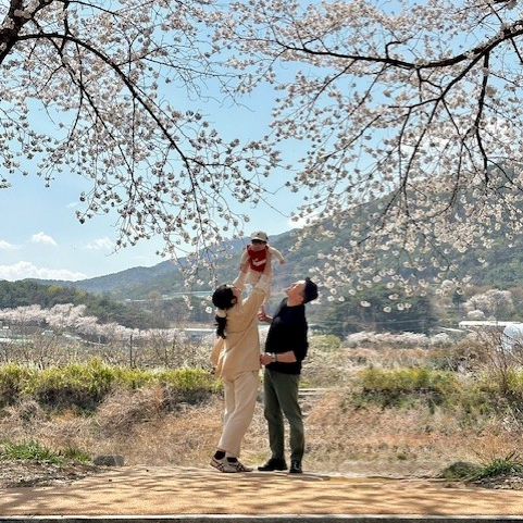 에디터