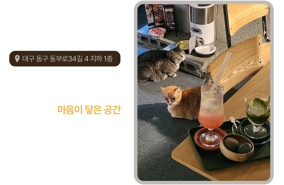대구 심플책방