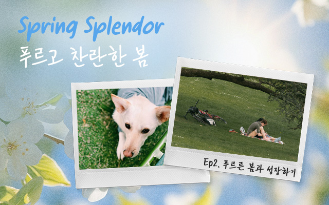 [소소레터 Ep.2] 찬란한 봄, 성장에 응원 한아름 드릴게요🌱